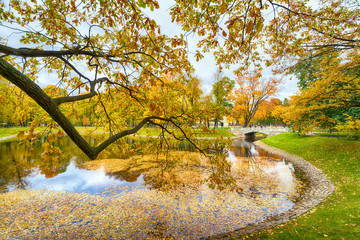 Beautiful autumn scenery of a city park with red-yellow leaves.