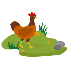 Illustration of a Chicken in flat style.