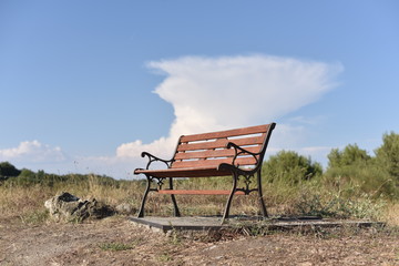 bench in the field