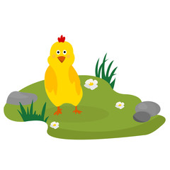Obraz na płótnie Canvas Cute cartoon chicken . Funny yellow chickens on the grass, vector illustration