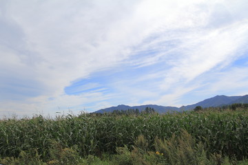 北海道の風景