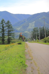 Fototapeta premium 北海道の風景