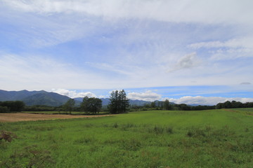 Fototapeta na wymiar 北海道の風景