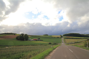 Fototapeta premium 北海道の風景