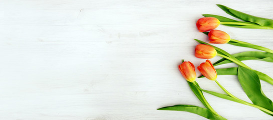 Easter headline with red tulips, copy space - obrazy, fototapety, plakaty