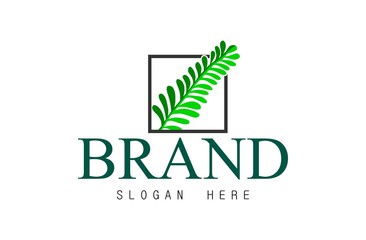Leaf logo, free hand vector leaf with your BRAND and white background