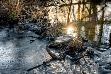 Wiosenny strumień © Tadeusz
