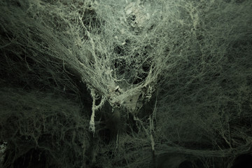 Abstract mystical grunge background with a lot of cobwebs hanging from the ceiling