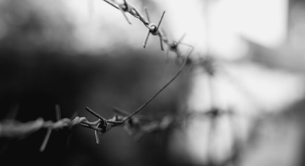 The black barbed wire for enclosed areas, Black barbed wire