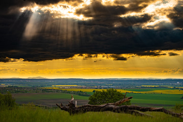 Sunset in the wine region