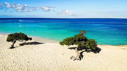 Aerial shot of Eagle beach with divi divi trees on Aruba island