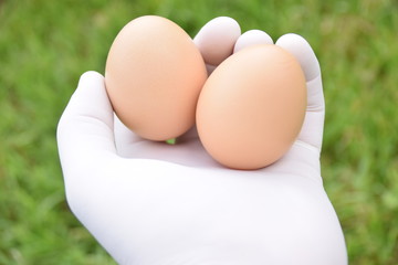 &oelig;uf de p&acirc;ques 