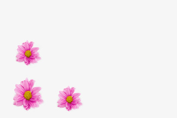 Obraz na płótnie Canvas decorative collage frame of pink chrysanthemum flowers