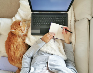 Woman working from home  with her laptop - 335298369