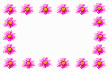 decorative collage frame of pink chrysanthemum flowers