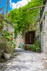 Fototapeta na wymiar Cyprus village Lefkara. View of a village stony street with lot of green and colorful walls