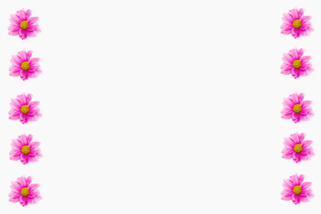 decorative collage frame of pink chrysanthemum flowers