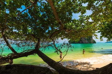 Railay beach tropical forest island