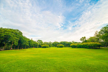 Obraz premium Green public park meadow blue sky for leisure