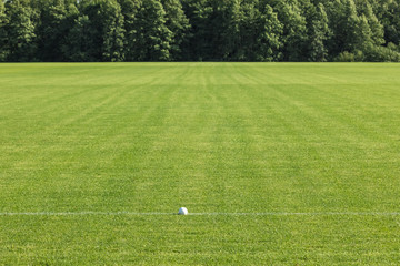  field with a cut well-maintained lawn for sports games. The horse polo ball lies on the white...