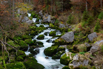Waterfall in the forest