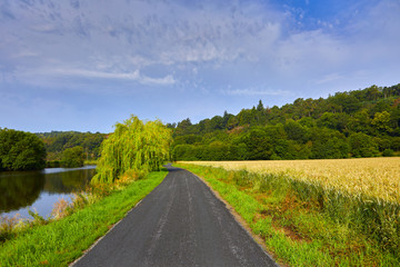 Fototapeta na wymiar Image of the Vilaine Riverside with trees