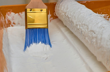 paint roller and brush