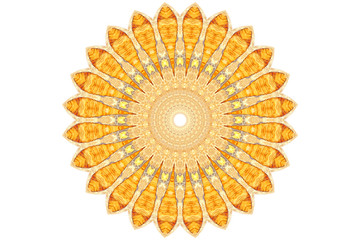 Sunflower-like graphic design isolate on white background.