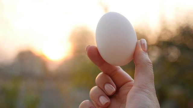 Easter egg in a female hand. Close-up