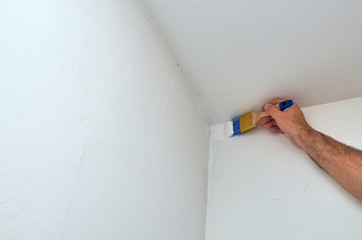 painting a wall