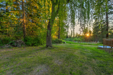 Luxury summer mountain home front and back yard.