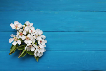 Spring background. Flowering branch of cherry on a wooden background in turquoise color. The concept of spring. Place for text. Flat lay.