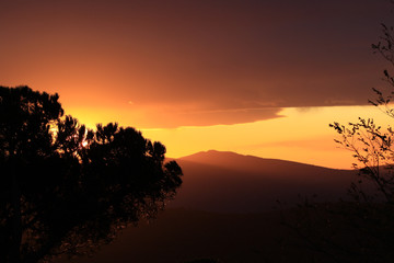 Beautiful sunset landscape with red sky and tree shadow