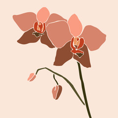 Obraz na płótnie Canvas Art collage orchid flower in a minimal trendy style. Silhouette of orchid plants on a pink background. Vector