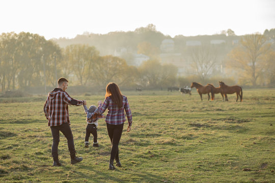 Family with cute little son. Father in a red shirt. People walking near horses. © hetmanstock2