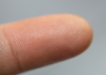 Close up fingerprint biometric identity.