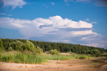 Baltic sea shore in Latvia. Sand dunes with pine trees and clouds