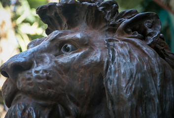 Fototapeta na wymiar Lion statue in Naples Italy