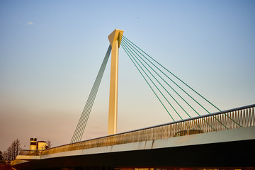 bridge in golden light in Tokyo