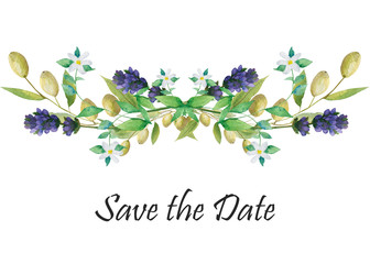 Watercolor hand painted nature floral provence wedding composition with green olives, purple lavender flowers, blossom bergamot branches and save the date text on the white background for invitations
