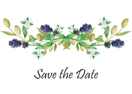 Watercolor hand painted nature floral provence wedding composition with green olives, purple lavender flowers, blossom bergamot branches and save the date text on the white background for invitations