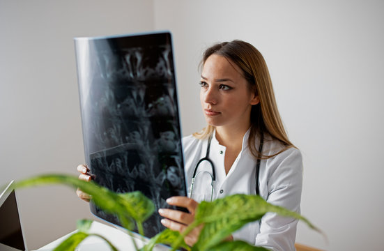 Young female doctor looking at the x-ray picture in her office
