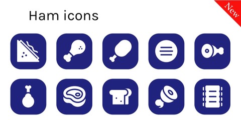 Modern Simple Set of ham Vector filled Icons