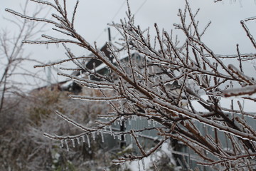 spring is coming, crystal nature