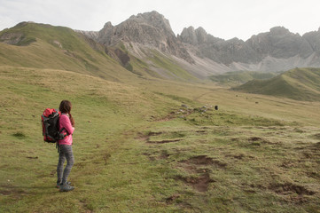 Pascolo Alpino