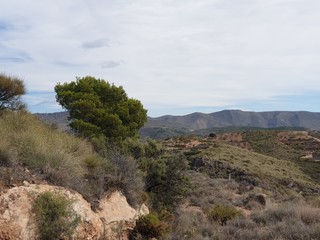 Un día de campo por la Sierra de Felix. Almería