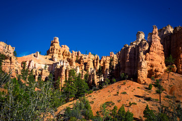 Fototapeta na wymiar Hoodoos of Bryce Canyon in Utah