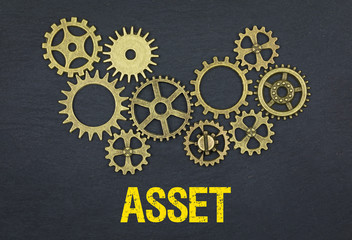 Asset