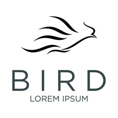 Bird logo design vector illustration
