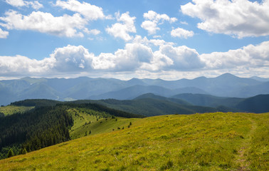 Landscape of green meadow covered with fresh grass in the summer mountains Forest glade high in the mountains in a cloudy day. Chornogora range on background. Carpathian, Ukraine